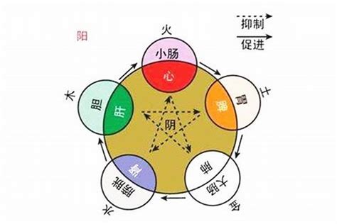 柔五行|柔的五行属什么,柔字的五行属性,柔的寓意